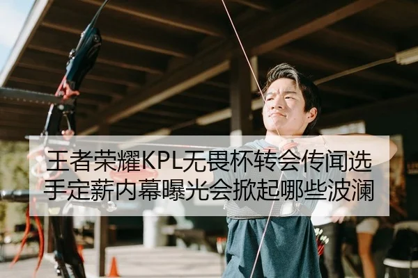 王者荣耀KPL无畏杯转会传闻选手定薪内幕曝光会掀起哪些波澜